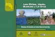 Los Chiles, Upala, Guatuso y La Cruz - IICA