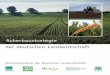 Ackerbaustrategie der deutschen Landwirtschaft