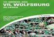 111 Gründe, den VfL Wolfsburg zu lieben - Weltbild