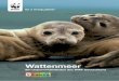 WWF Wattenmeer D3 Änderung Seite 4+5