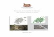 Biotopverbund-Konzept für die Wildkatze Felis silvestris 
