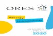 JAHRESBERICHT ORES Assets 2020 - .NET Framework
