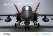 E-FLITE® F-18 HORNET 80MM EDF - Hobby Shop