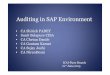 Auditing in SAP Environment - puneicai.org