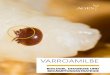 Varroamilbe - Biologie, Diagnose und Bekämpfungsstrategie