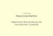 3. Vorlesung: Neurosenlehre - Semmelweis Egyetem