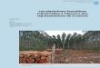 Les plantations forestières industrielles à l’épreuve des 