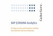 SAP S/4HANA Analytics