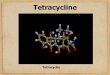 Tetracycline - PTE ÁOK