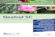 Gnatrol SC - Biofa