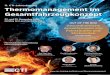 11. CTI-Jahrestagung Thermomanagement im …