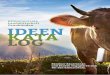 Klimaneutrale Landwirtschaft Graubünden IDEEN KATA LOG