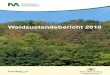 Waldzustandsbericht 2018 - FVA