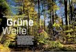 Bayerischer Wald: Pionierregion st. englmar Grüne Welle