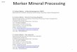 Merker Mineral Processing