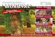 Freizeitmagazin für's Murgtal – Tor zum Nationalpark 