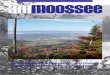 November, Ausgabe 6 2020 - Moosseedorf