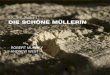 SCHUBERT DIE SCHÖNE MÜLLERIN - Stone Records