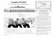 Amtsblatt - Hohenmölsen