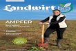 AMPFER - landwirt-media.com