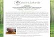 Programm PDFs 2017 - Buddhismus im Westen