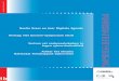 Neelie Kroes en haar Digitale Agenda Verslag: Het Govcert 