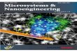 Microsystems & Nanoengineering Page 2 of 12