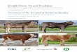 Bio-KB-Stiere: Fit und fruchtbar