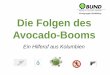 Kreisgruppe Heidelberg Die Folgen des Avocado-Booms