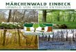 Märchenwald Einbeck - Urwald von morgen entdecken