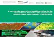 Protocolo para la clasificación de la cobertura forestal 