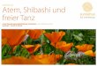 Atem Shibashi freier Tanz - irene-christen.ch