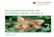 Feldhamster in rheinland-PFalz - rlp.de